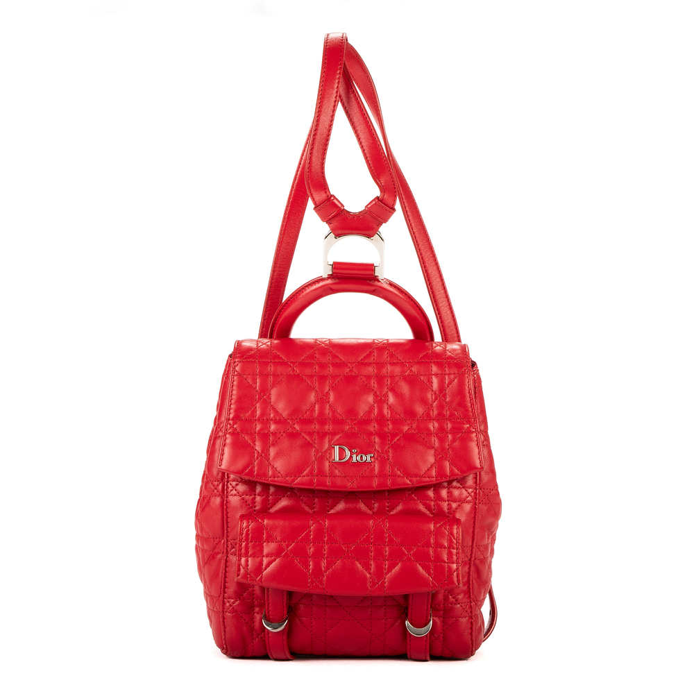 Christian Dior Stardust Backpack Small